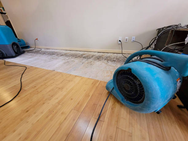 Professional Water Damage Repair technician working in Quaker City, OH
